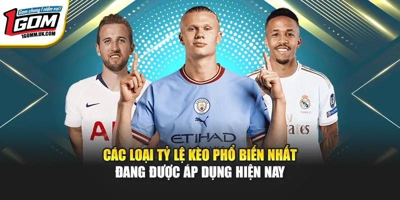 Kèo Nhà Cái 1GOM Là Gì? Cách Đọc Và Phân Tích Kèo Chuẩn Các loại tỷ lệ kèo phổ biến nhất đang được áp dụng hiện nay