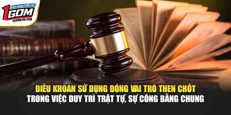 Điều khoản sử dụng đóng vai trò then chốt trong việc duy trì trật tự, sự công bằng chung