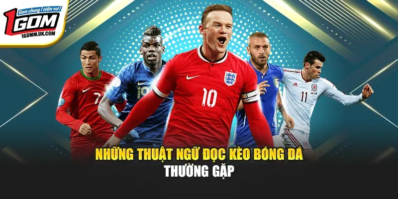 Thuật Ngữ Đọc Kèo Bóng Đá 1GOM Dễ Hiểu Dành Cho Người Mới Những thuật ngữ đọc kèo bóng đá thường gặp