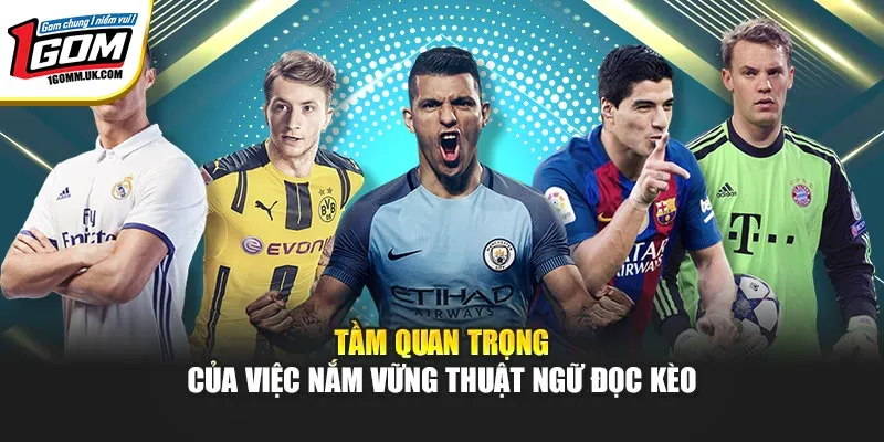Thuật Ngữ Đọc Kèo Bóng Đá 1GOM Dễ Hiểu Dành Cho Người Mới Tầm quan trọng của việc nắm vững thuật ngữ đọc kèo